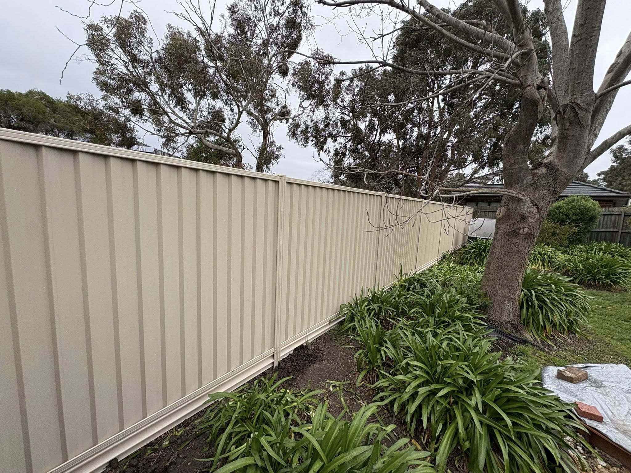 Paperbark boundary fence — Wantirna South